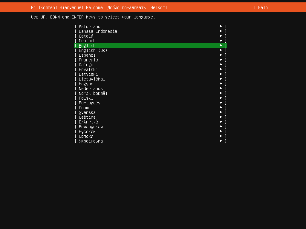 screenshot of the Ubuntu installation welcome screen